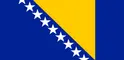 flag of Bosnia and Herzegovina