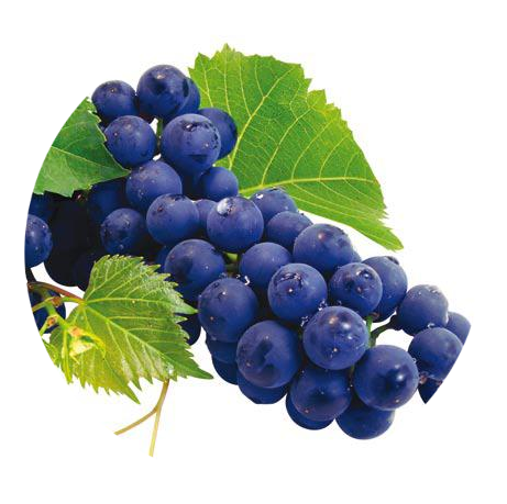 Dark grapes